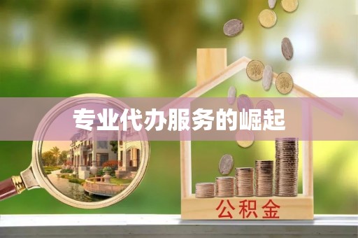 平利专业代办服务的崛起