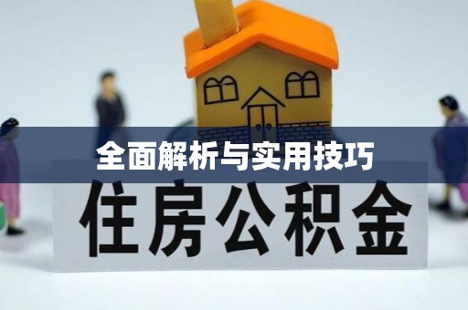 平利全面解析与实用技巧