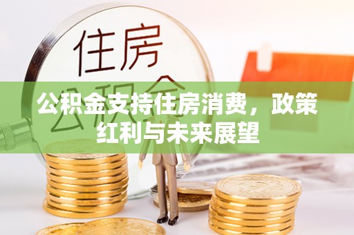 平利公积金支持住房消费，政策红利与未来展望