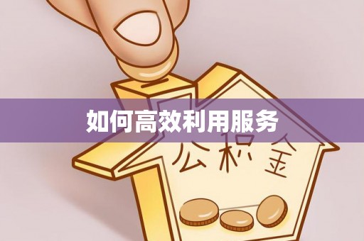 平利如何高效利用服务