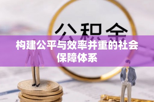 平利构建公平与效率并重的社会保障体系