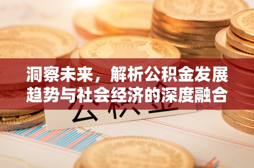 平利洞察未来，解析公积金发展趋势与社会经济的深度融合