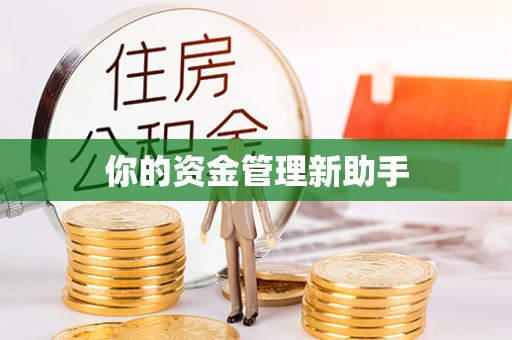 平利你的资金管理新助手
