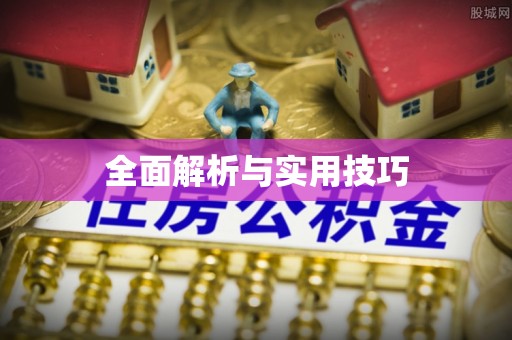 平利全面解析与实用技巧