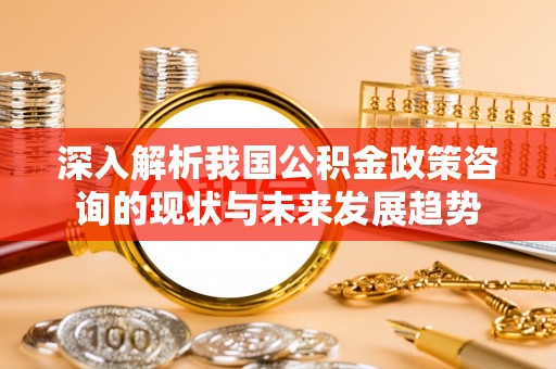平利深入解析我国公积金政策咨询的现状与未来发展趋势