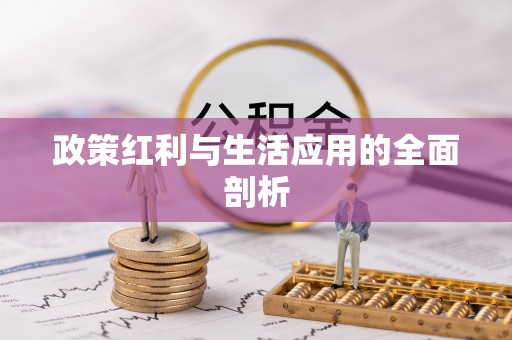 平利政策红利与生活应用的全面剖析