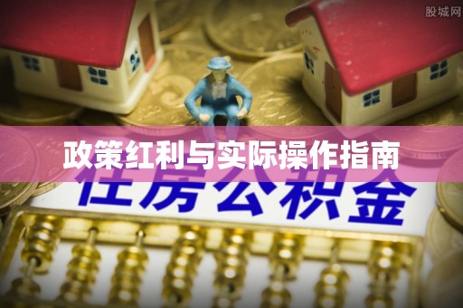 平利政策红利与实际操作指南