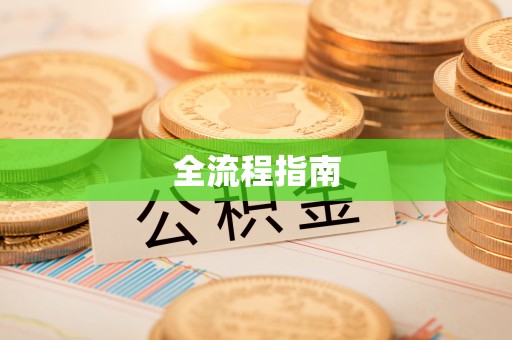 平利全流程指南