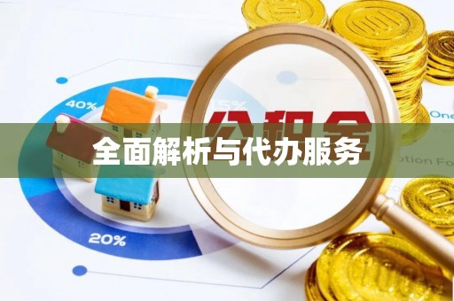 平利全面解析与代办服务