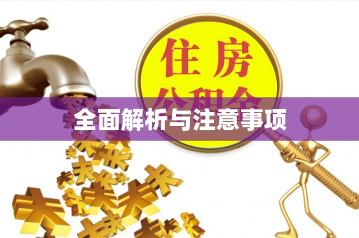 平利全面解析与注意事项