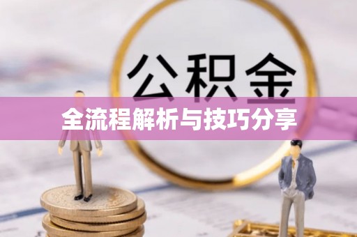 平利全流程解析与技巧分享