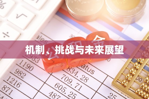 平利机制、挑战与未来展望