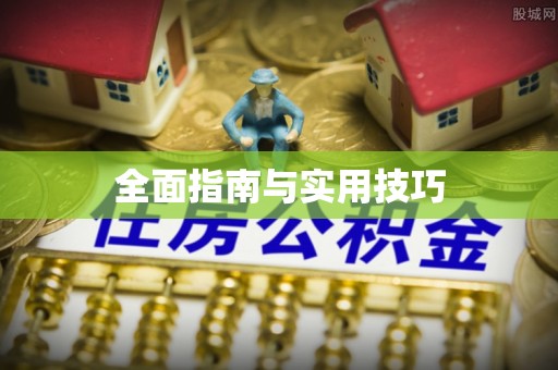 平利全面指南与实用技巧